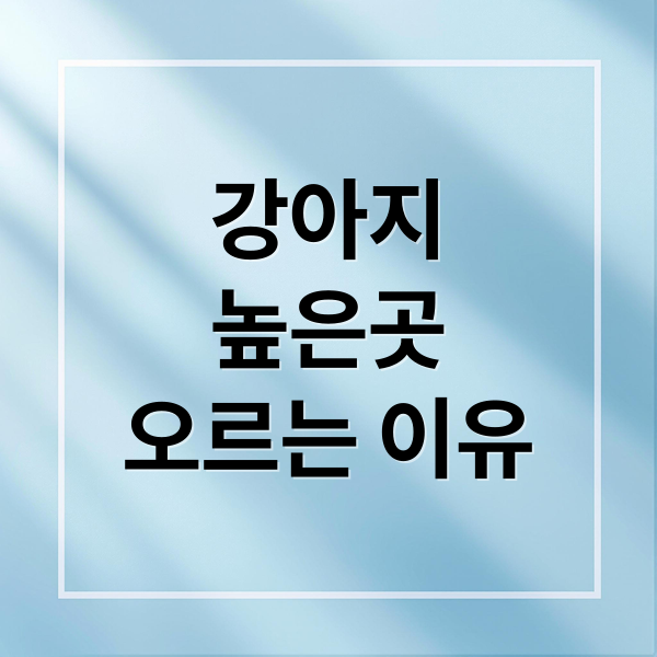 thumbnail 1761785382544 4fbfjfk195