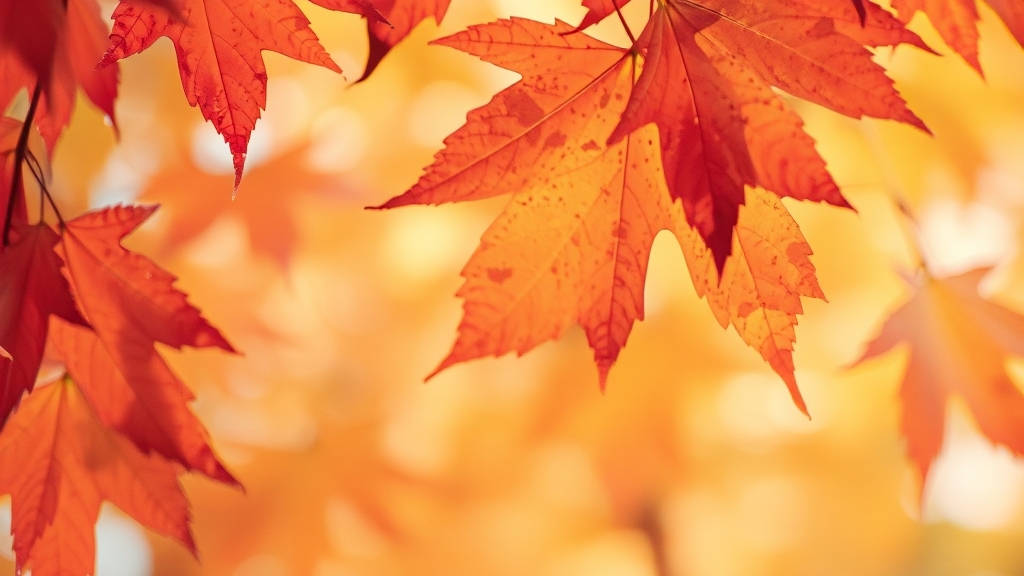 접종 시기, 방법은 어떻게 되나요? (watercolor 스타일)